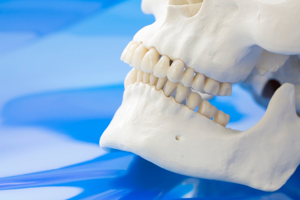 What Causes Bone Loss in the Jaw? American Dental